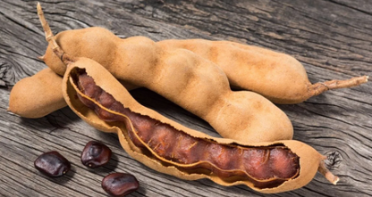 Donchamoy RIM PASTE  6.oz